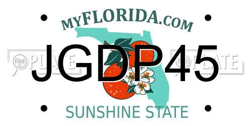 JGDP45 Florida License Plate