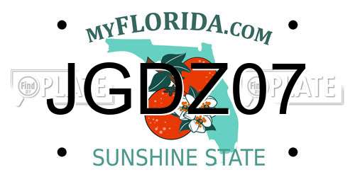 JGDZ07 Florida License Plate