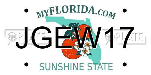 JGEW17 Florida License Plate