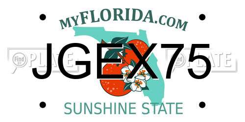 JGEX75 Florida License Plate