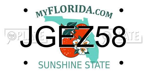 JGEZ58 Florida License Plate