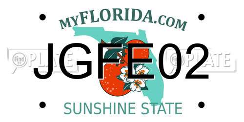 JGFE02 Florida License Plate