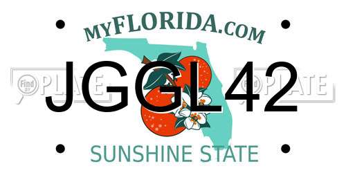 JGGL42 Florida License Plate
