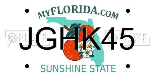 JGHK45 Florida License Plate