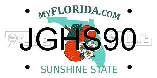 JGHS90 Florida License Plate