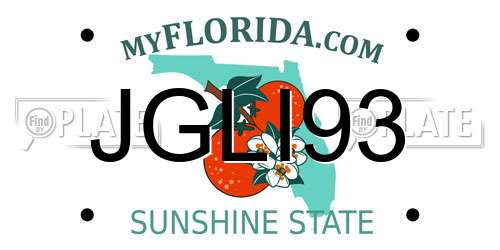 JGLI93 Florida License Plate