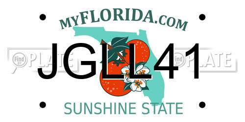 JGLL41 Florida License Plate