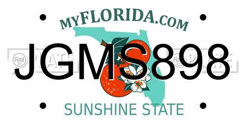 JGMS898 Florida License Plate