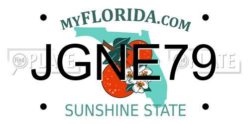 JGNE79 Florida License Plate