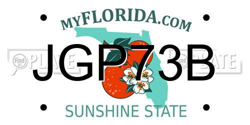 JGP73B Florida License Plate