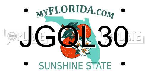 JGQL30 Florida License Plate