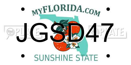 JGSD47 Florida License Plate
