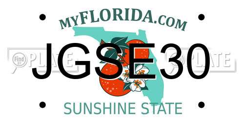 JGSE30 Florida License Plate