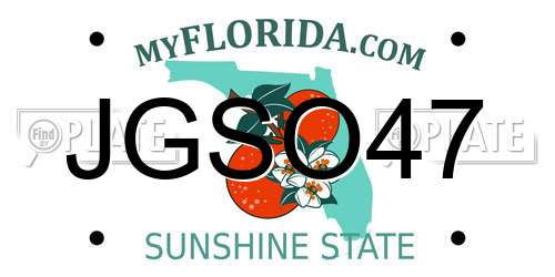 JGSO47 Florida License Plate
