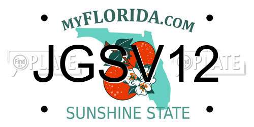 JGSV12 Florida License Plate