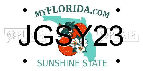JGSY23 Florida License Plate