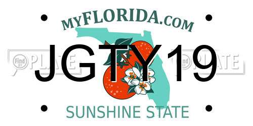 JGTY19 Florida License Plate