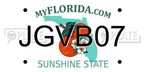 JGVB07 Florida License Plate