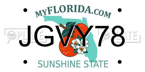 JGVY78 Florida License Plate