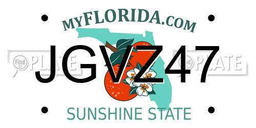 JGVZ47 Florida License Plate