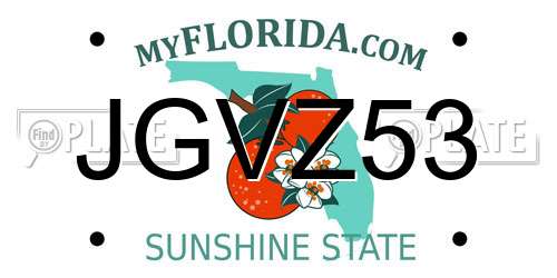 JGVZ53 Florida License Plate