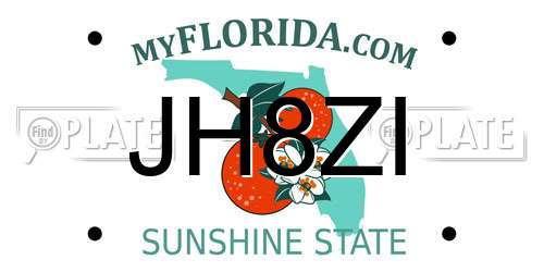 JH8ZI Florida License Plate