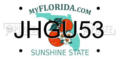 JHGU53 Florida License Plate