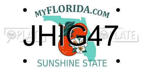 JHIG47 Florida License Plate