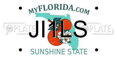 JI1LS Florida License Plate