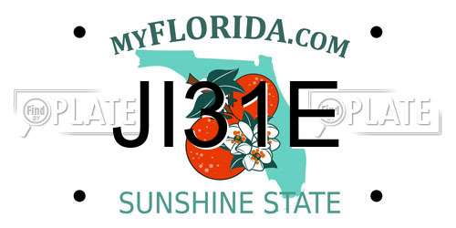 JI31E Florida License Plate