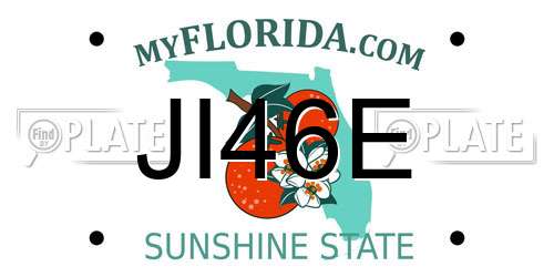 JI46E Florida License Plate
