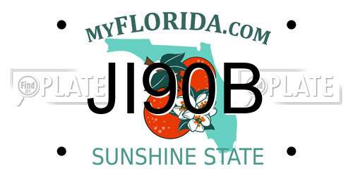 JI90B Florida License Plate