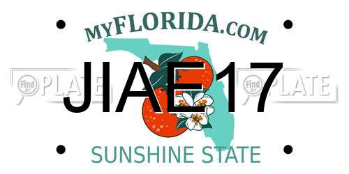 JIAE17 Florida License Plate