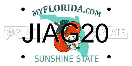 JIAG20 Florida License Plate