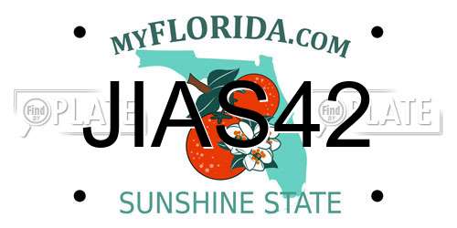 JIAS42 Florida License Plate