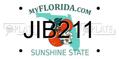 JIB211 Florida License Plate