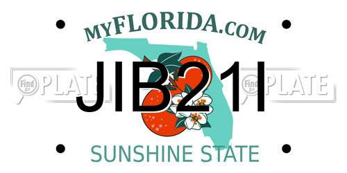 JIB21I Florida License Plate