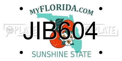 JIB604 Florida License Plate