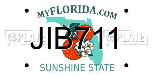 JIB711 Florida License Plate