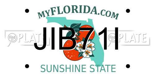 JIB71I Florida License Plate