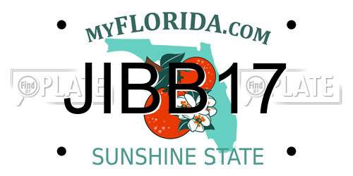 JIBB17 Florida License Plate