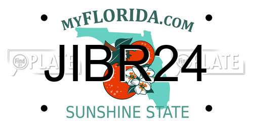 JIBR24 Florida License Plate