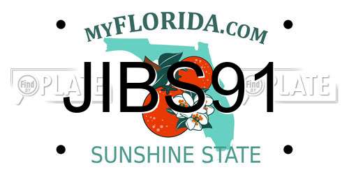 JIBS91 Florida License Plate