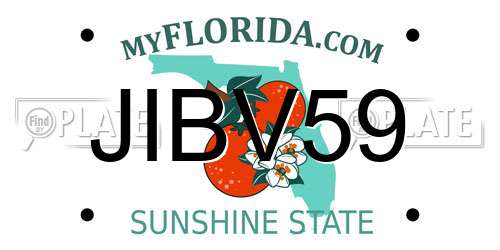 JIBV59 Florida License Plate
