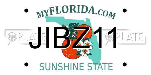 JIBZ11 Florida License Plate