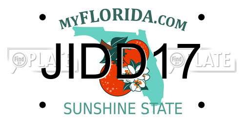 JIDD17 Florida License Plate