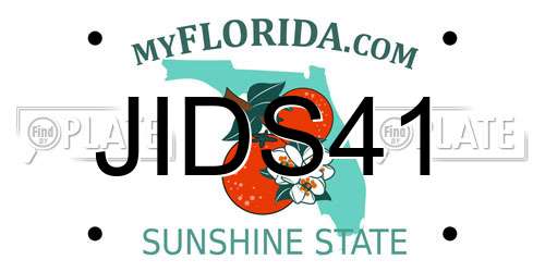 JIDS41 Florida License Plate
