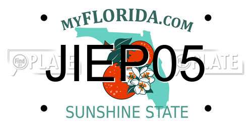 JIEP05 Florida License Plate