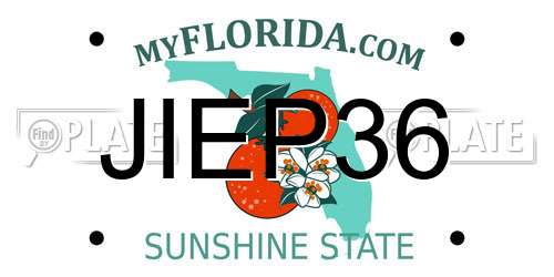 JIEP36 Florida License Plate