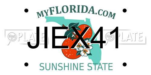 JIEX41 Florida License Plate